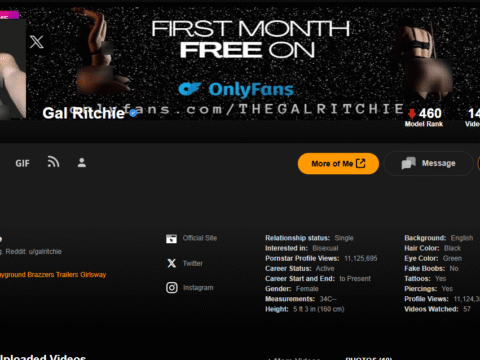 The Ultimate Guide to Finding New Porn Stars Before They Blow Up